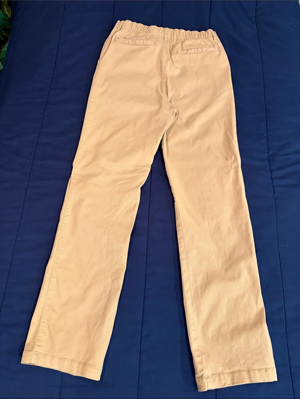 Place Boys Beige Casual Pants